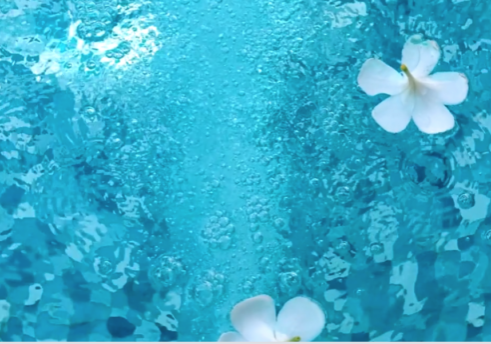 Pool Openings Toronto