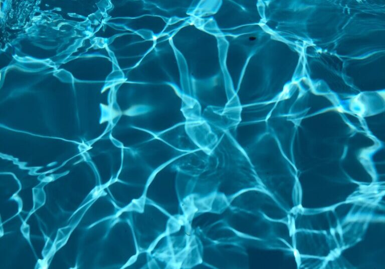 pexels-paulo-carvalho-2570389