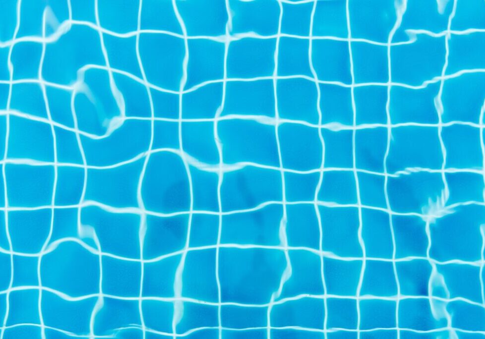 pexels-tirachard-kumtanom-347143